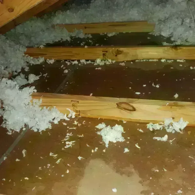 Attic Water Damage in Fontana, CA